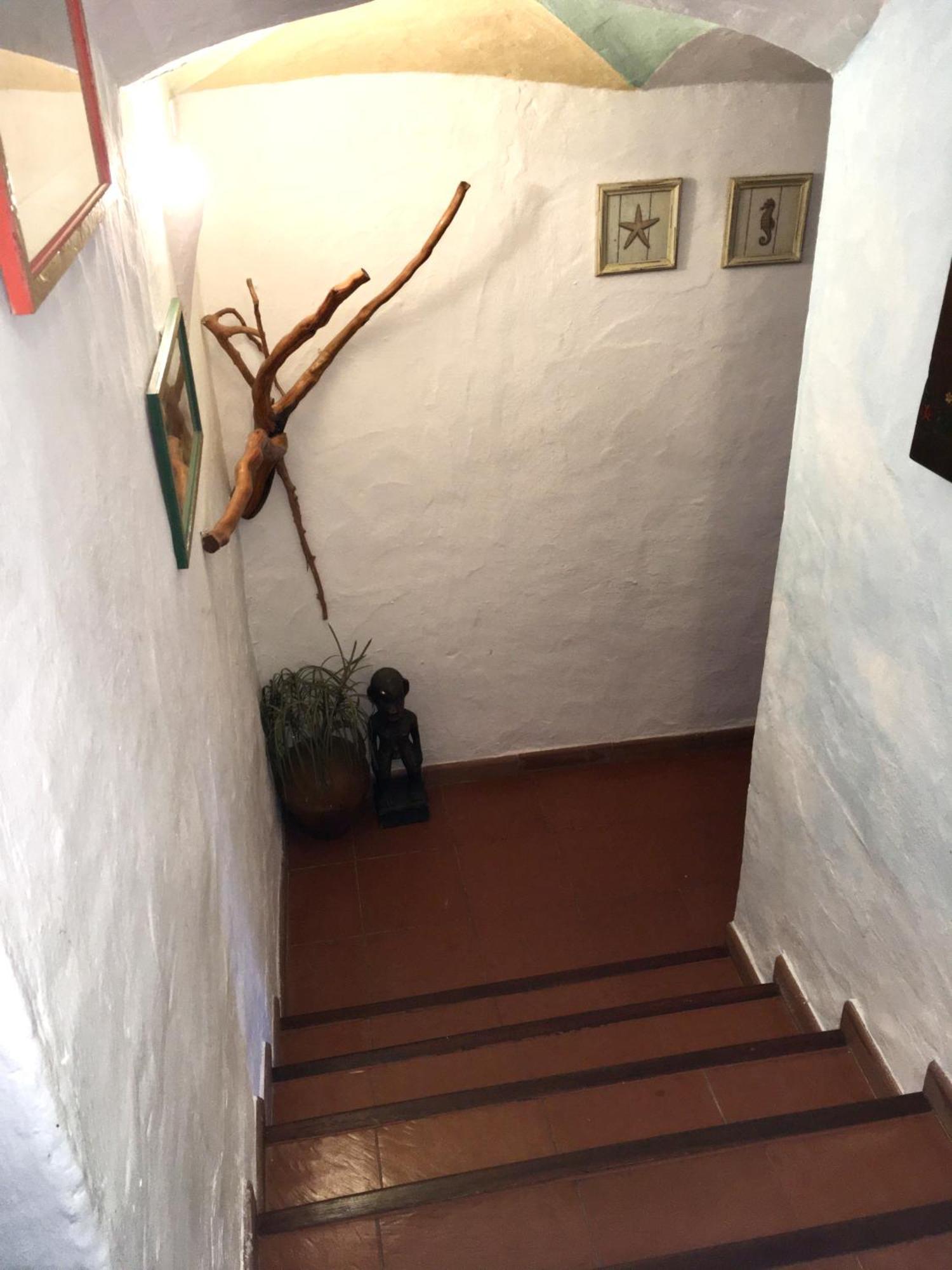 L'Olivastro Appartamenti A פורטו צ'רבו מראה חיצוני תמונה